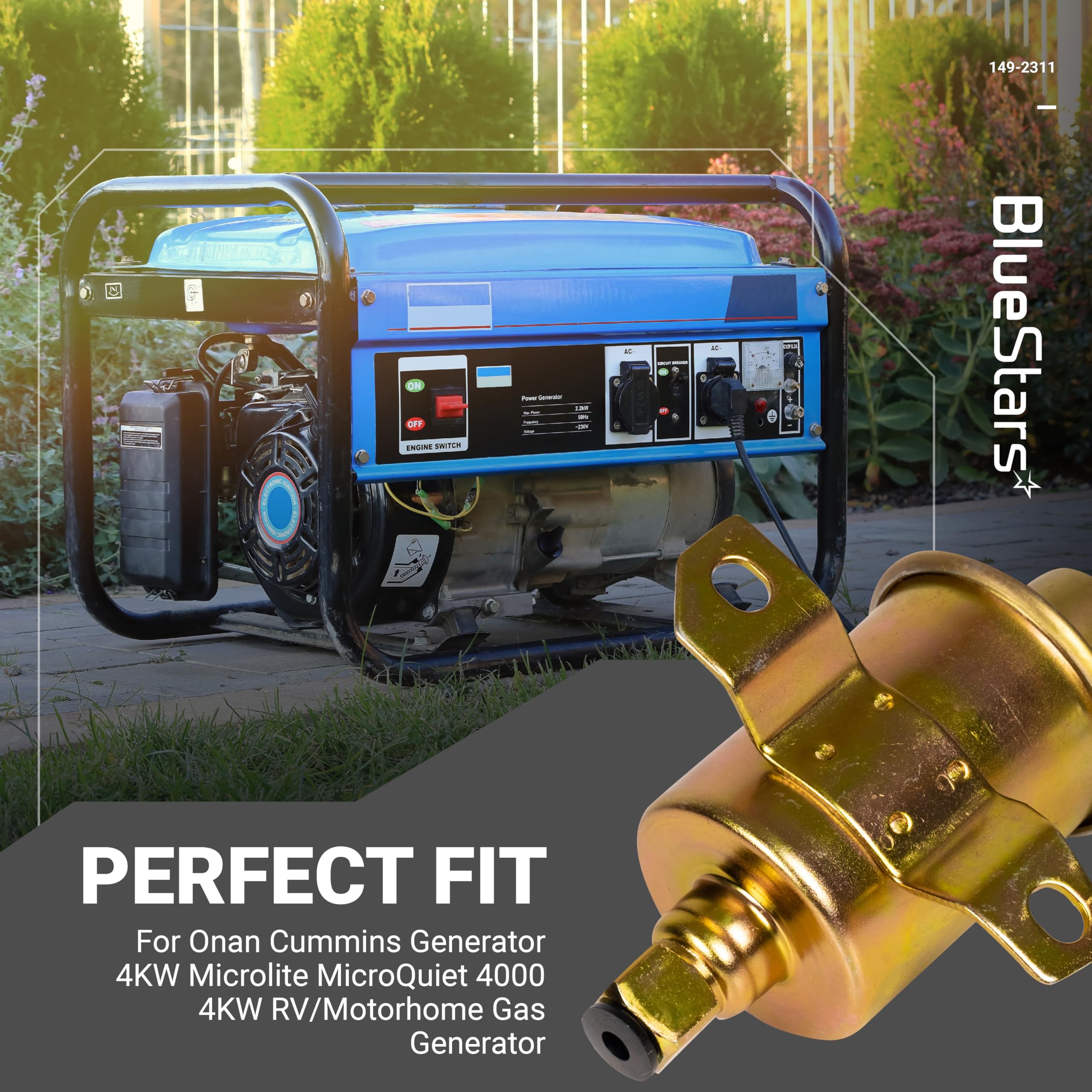 Amazon.com: BlueStars 149-2311 Electric 12V Fuel Pump